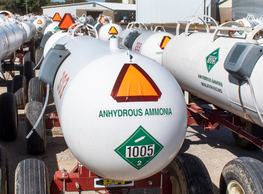 Anhydrous ammonia containers on trailers ready for shipment.